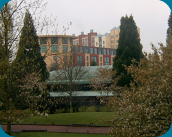 Disney's Hotel New York gezien vanuit het raam van een kamer in Disney's Sequoia Lodge