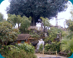 Le Cabane des Robinson