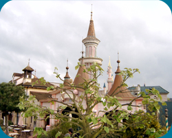 Sleeping Beauty Castle (from distance)