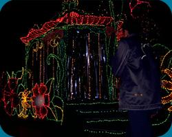 2nd Float: Flora`s Gazebo